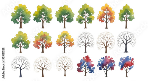 Ornamental shrub and tree set for modern garden layout drawing