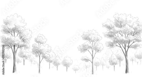 Ornamental shrub and tree set for modern garden layout drawing