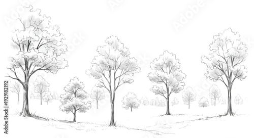 Ornamental shrub and tree set for modern garden layout drawing