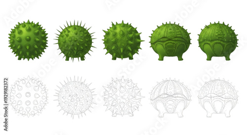 Ornamental shrub and tree set for modern garden layout drawing