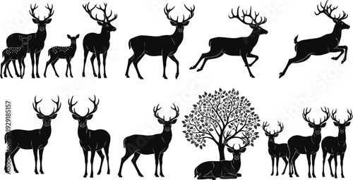 Deer silhouette collection vector set, stag buck doe fawn woodland animals in different poses with tree, black and white wildlife illustration