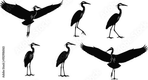 Heron bird silhouettes collection, black vector illustration set of standing and flying wading birds isolated on white background for design