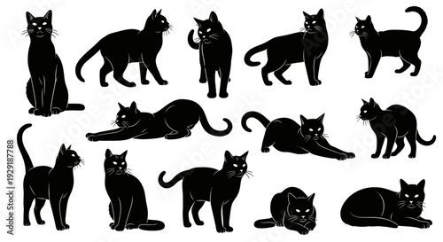 A collection of black cat silhouettes in various poses, showcasing their elegant and mysterious nature.