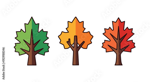Maple tree Line art minimal graphic color vector