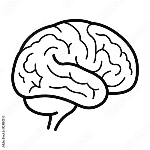 Simple outline vector illustration of a human brain, symbolizing intelligence, thought, and medical concepts