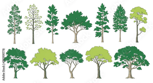 Axonometric tree symbols for landscape design and 3D modeling
