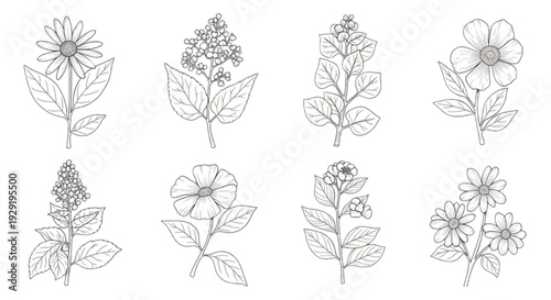 Flat 2D vegetation blocks for architectural floor plan drawing