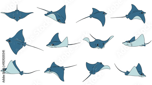 Set of blue stingray illustrations showing multiple swimming angles and dynamic movements of the marine creature in the ocean.