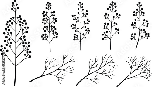 Botanical branch silhouettes featuring berry stems and delicate twigs, ideal for nature-themed graphic design, floral wall art, rustic invitations, crafting elements and modern botanical decoration.