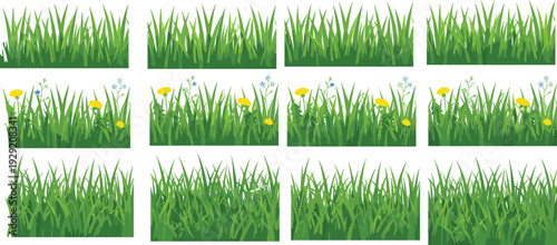 Flat vector illustration of various green grass borders, spring meadow patches with flowers, and lawn tufts set on white background