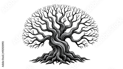 Detailed drawing of an old twisted tree with many branches and strong deep roots in black and white vintage style.