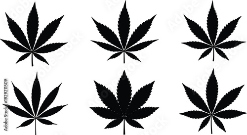 Cannabis Leaf Silhouettes Set Marijuana Hemp Plant Collection Black Botanical Icon Isolated Vector Illustration Design Elements