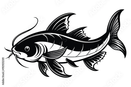 catfish silhouette line art vector illustration