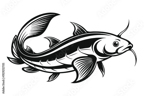 catfish silhouette line art vector illustration