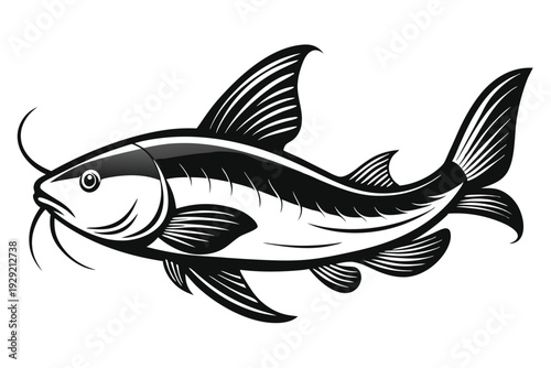 catfish silhouette line art vector illustration