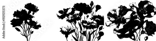 Vivid Blue Cornflowers: A Botanical Illustration of Nature's Beauty