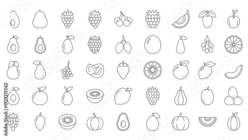 Collection of various fruit icons in outline style