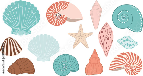 Large Collection of Decorative Sea Shells and Starfish Vector Illustrations in Pastel Colors for Summer Beach Themes, Marine Life Education, and Coastal Decor