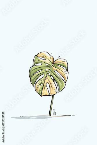 Minimal Variegated Monstera Leaf Illustration