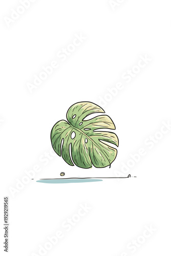 Minimal Variegated Monstera Leaf Illustration