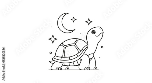 Young Turtle under Moonlight with Stars