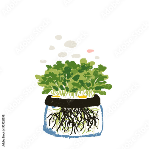 Aeroponic Chamber With Exposed Root Mist