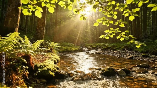Serene sunlit forest glade with a mossy bank and tranquil stream