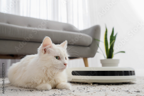 White fluffy cat resting on...
