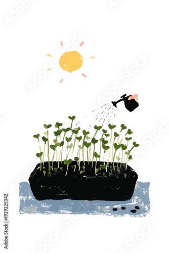 Kitchen Windowsill Microgreens Tray Sprouting