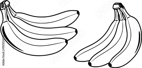Bunches of Black Outline Bananas Isolated White Background fruit food