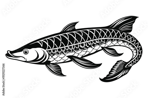 arapaima silhouette line art vector illustration