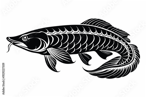 arapaima silhouette line art vector illustration