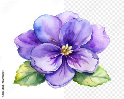 Watercolor Viola Blossom, Soft Miniature Floral Vector Isolated on White