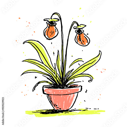 Minimalist Carnivorous Pitcher Plant Vector Illustration