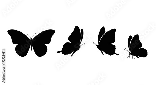 butterfly silhouette vectors