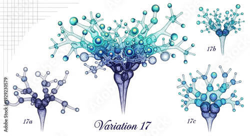 Artistic illustration of a detailed botanical specimen with intricate structures and variations.