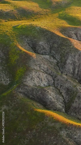 Vertical Drone Flyover of Sunlit Rolling Green Hills