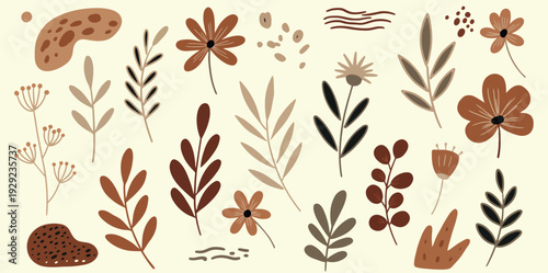 Collection of various flowers and leaves on a beige background in earthy tones