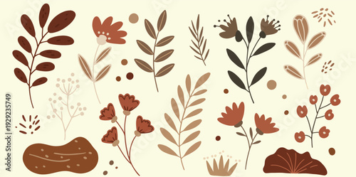 A collection of various brown and red leaves and flowers on a beige background