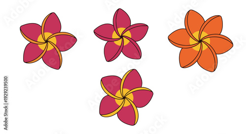 Plumeria Line art creative abstract color vector
