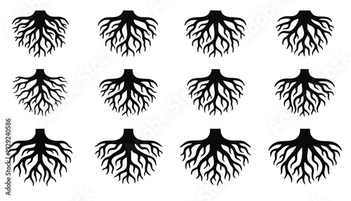 Set of 9 tree root icons vector