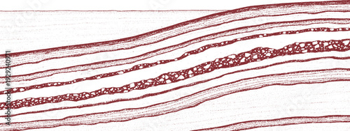 Geological Strata Formation: A detailed depiction of geological strata, showcasing layered rock formations with visible sedimentation, indicating a history of Earth's geological processes.