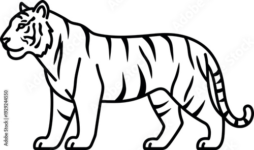 Standing Tiger Illustration, Fierce Jungle Predator Line Art