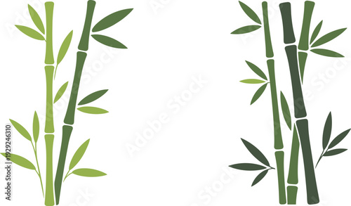 Minimalist bamboo stems vector illustration, green bamboo branches with leaves, modern botanical design, asian nature elements isolated on white