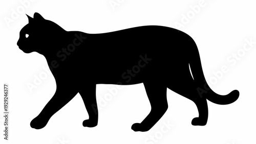 Majestic black cat walking in profile view