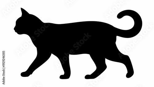 Black cat walking in profile with tail curled up