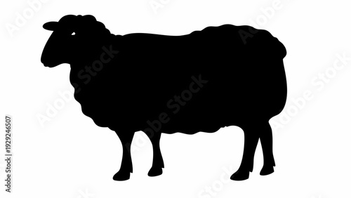 Majestic sheep standing alone in profile view