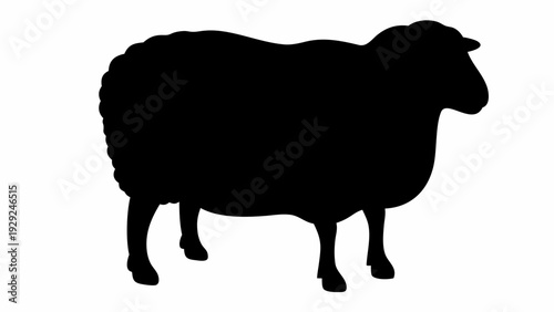 Black sheep silhouette standing alone