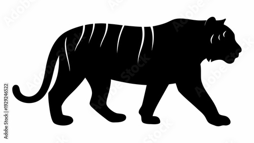 Majestic tiger walking in profile view with elegant stripes