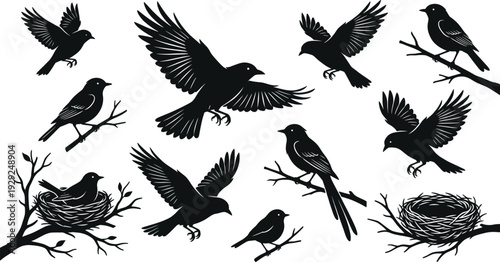 Black bird silhouette collection featuring flying crows and small birds on branches with nests isolated on white background for nature design projects